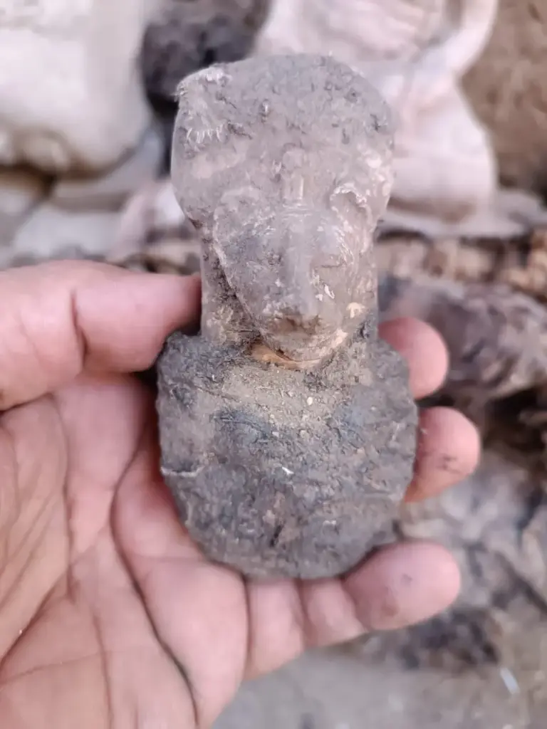 WhatsApp Image 2025-12-16 at 12.44.33 (1).webp