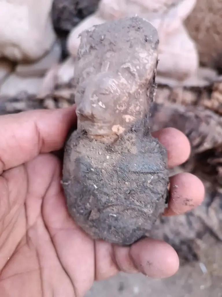 WhatsApp Image 2025-12-16 at 12.44.33.webp