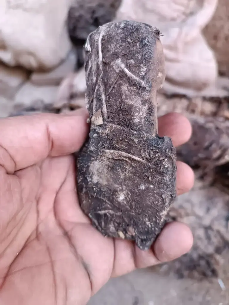 WhatsApp Image 2025-12-16 at 12.44.33 (2).webp