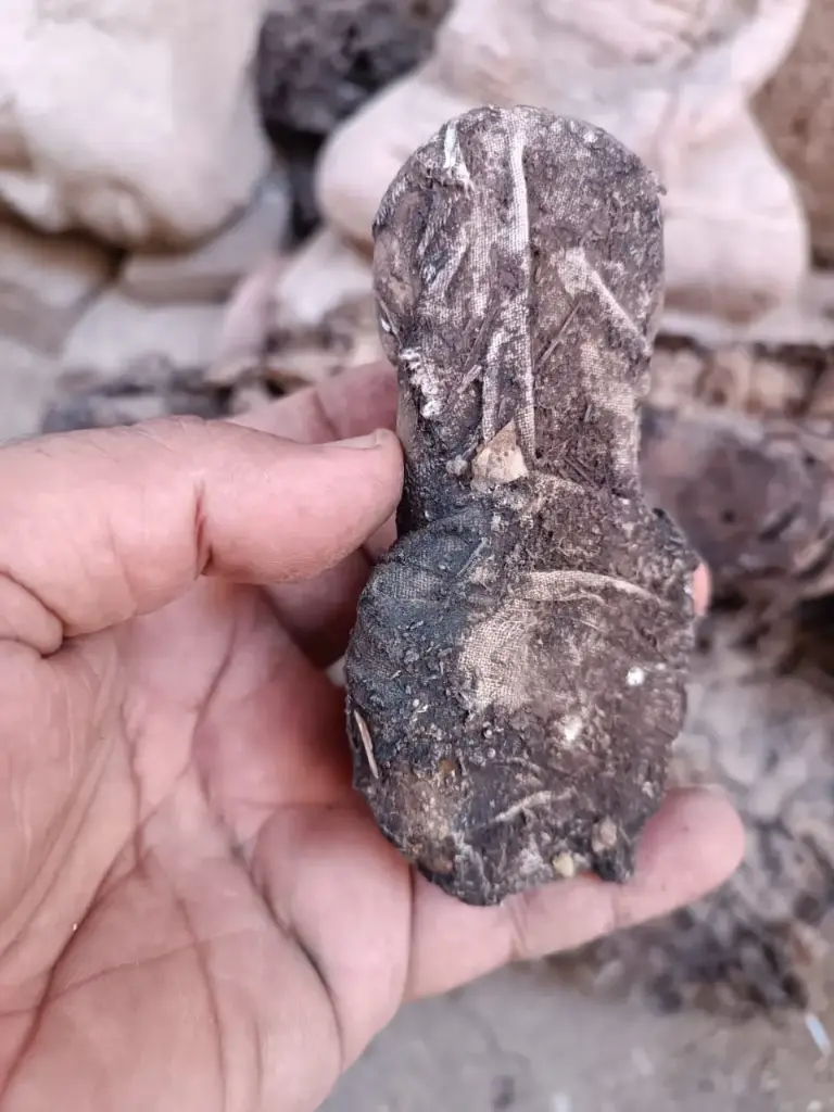 WhatsApp Image 2025-12-16 at 12.44.35 (2).webp