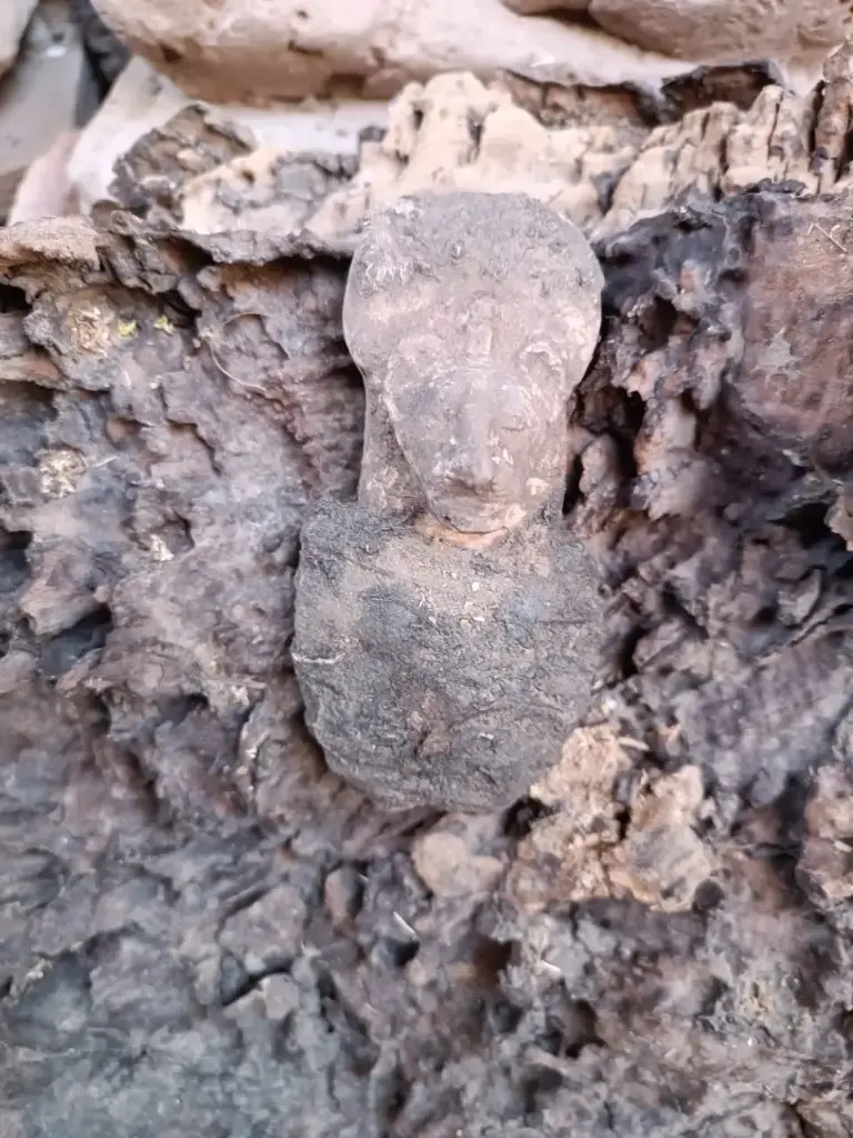 WhatsApp Image 2025-12-16 at 12.44.34.webp