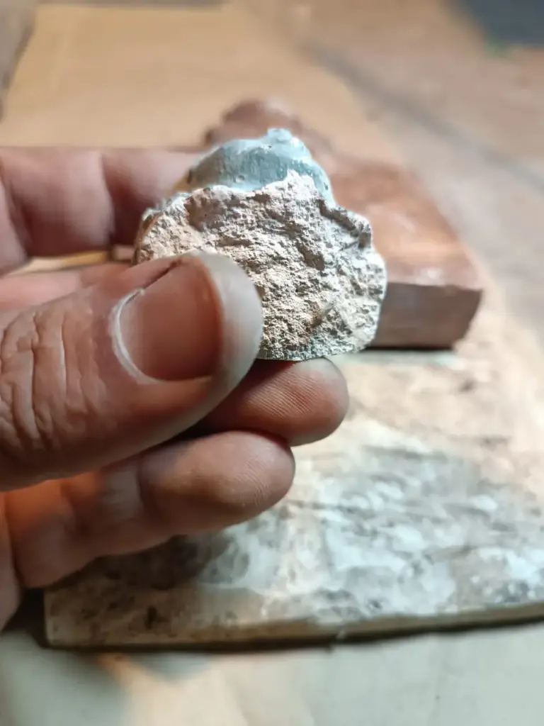 WhatsApp Image 2025-12-16 at 12.42.26.webp