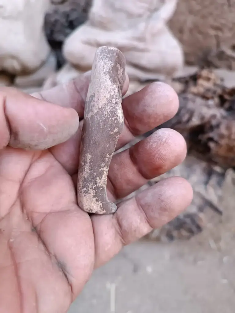 WhatsApp Image 2025-12-16 at 12.40.31 (1).webp