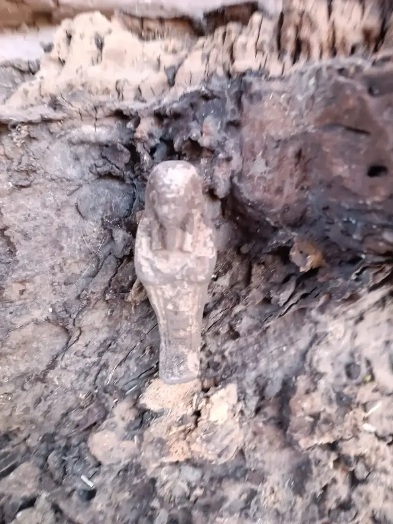 WhatsApp Image 2025-12-16 at 12.40.31 (2).webp