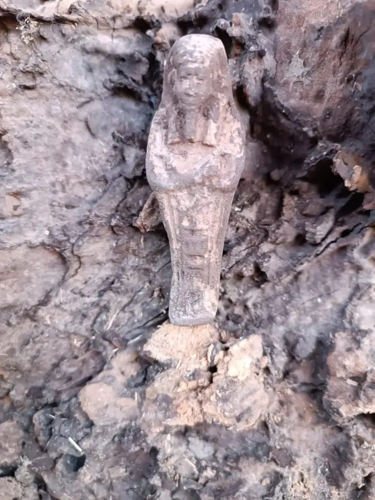 WhatsApp Image 2025-12-16 at 12.40.31.webp