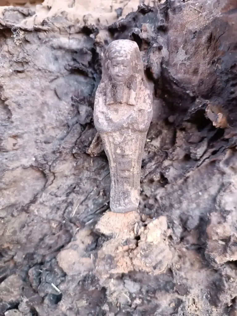 WhatsApp Image 2025-12-16 at 12.40.33 (1).webp