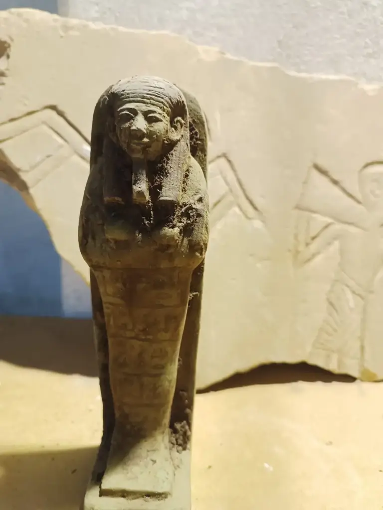 WhatsApp Image 2025-12-16 at 12.38.58 (1).webp