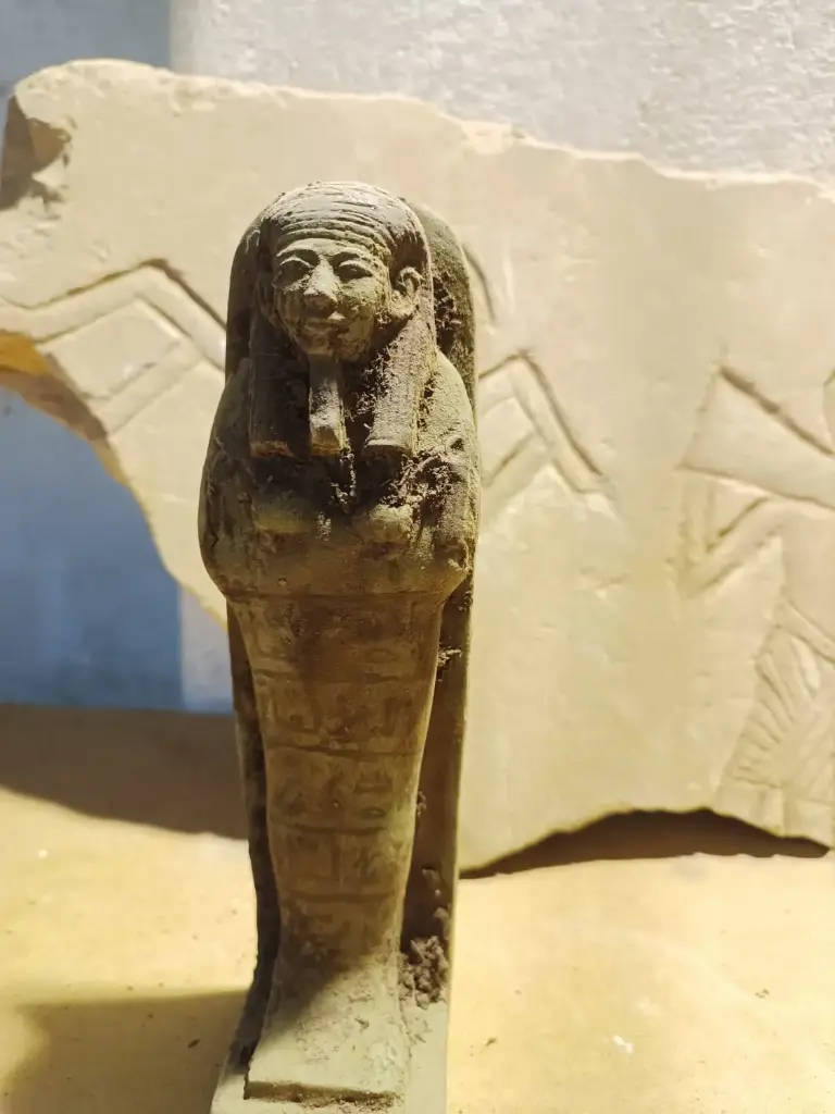 WhatsApp Image 2025-12-16 at 12.38.59.webp