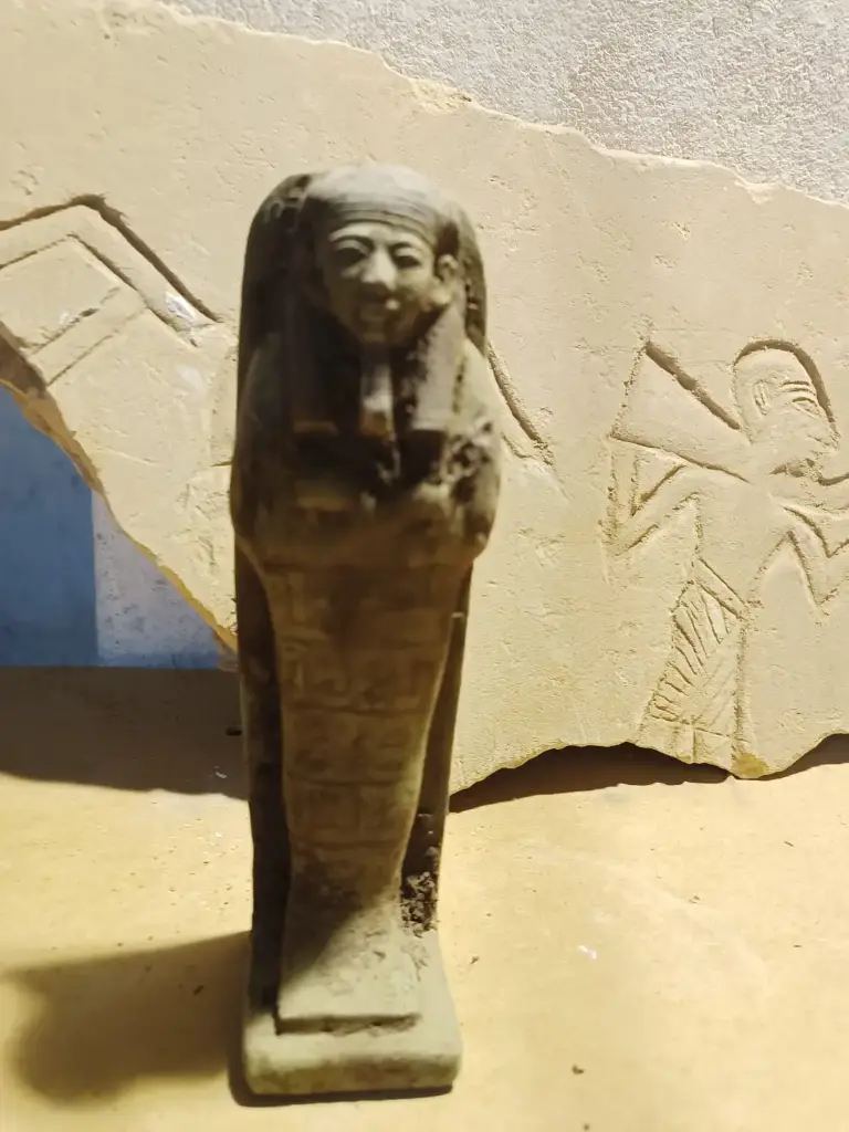 WhatsApp Image 2025-12-16 at 12.38.59 (2).webp