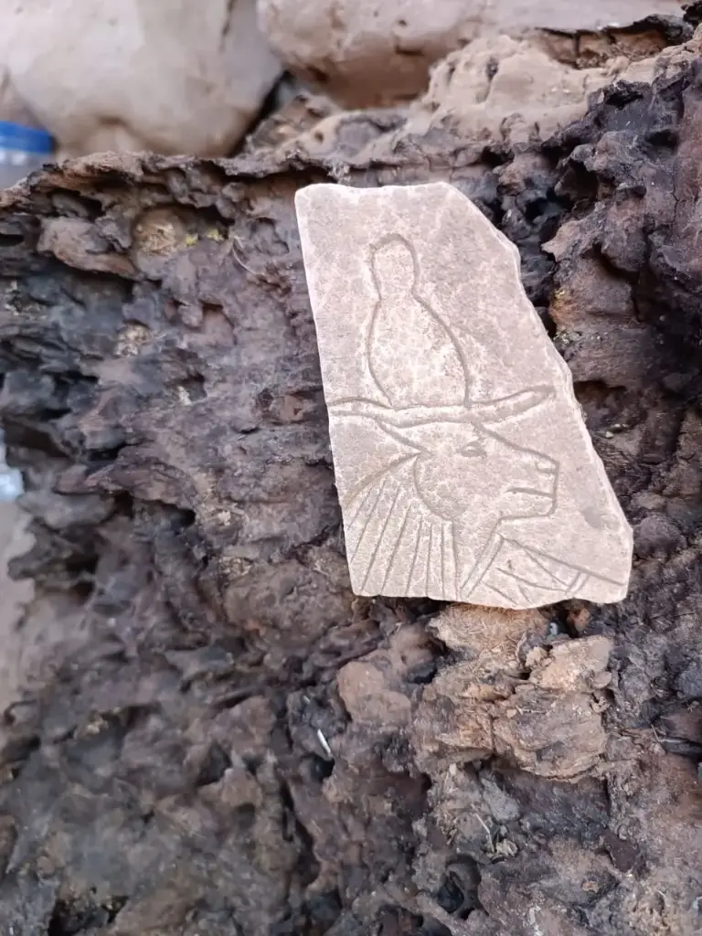 WhatsApp Image 2025-12-16 at 12.37.52.webp