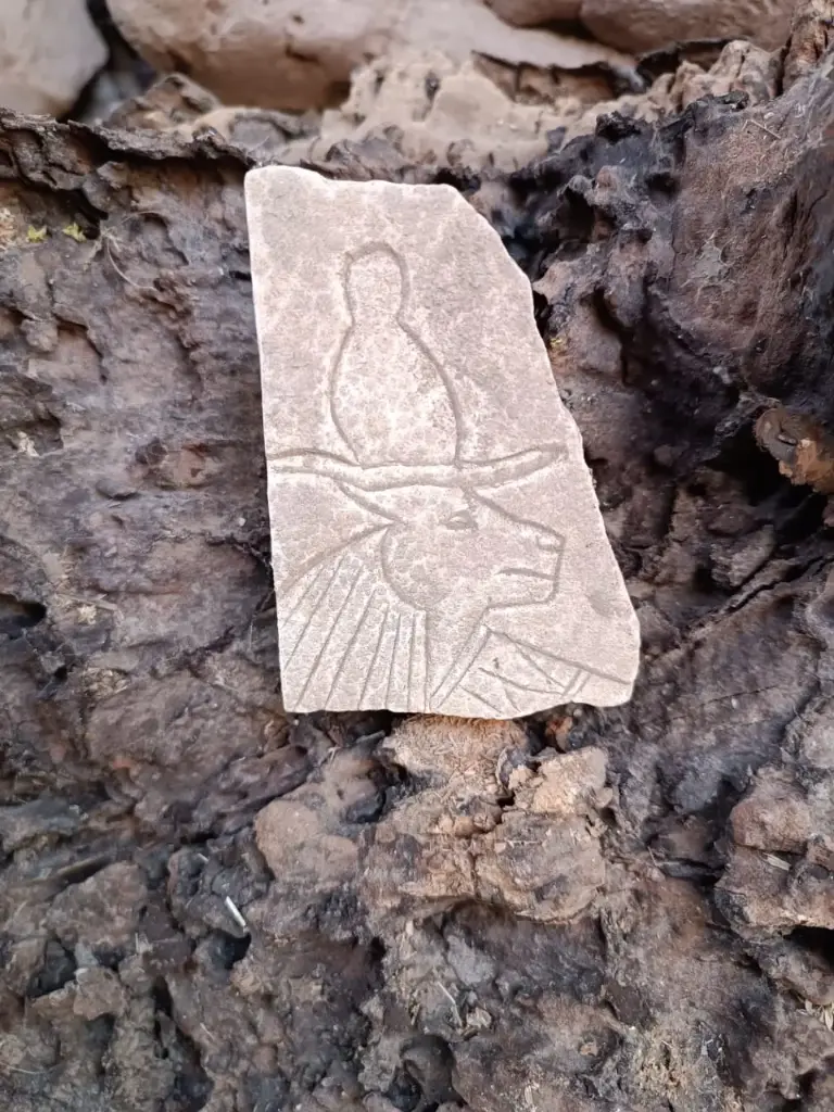 WhatsApp Image 2025-12-16 at 12.37.52 (2).webp