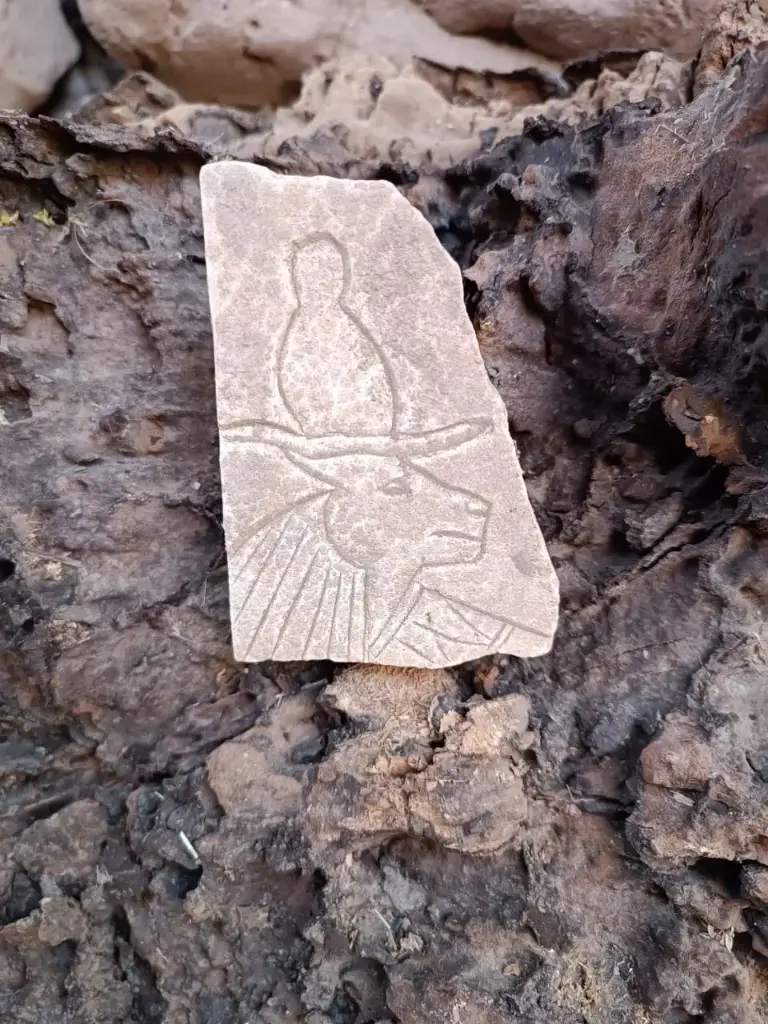 WhatsApp Image 2025-12-16 at 12.37.53 (1).webp