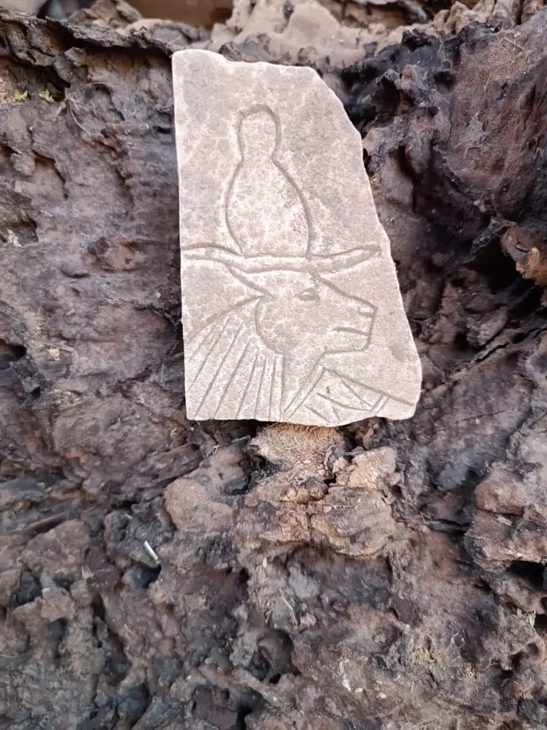 WhatsApp Image 2025-12-16 at 12.37.52 (1).webp