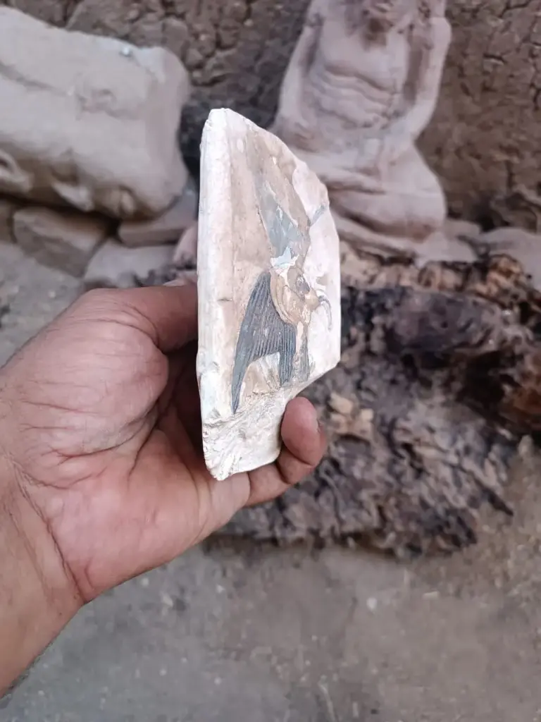 WhatsApp Image 2025-12-16 at 12.25.15 (1).webp