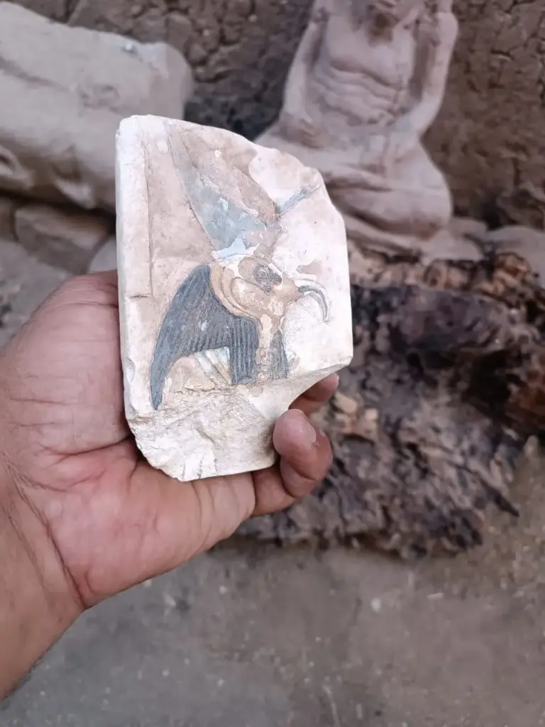 WhatsApp Image 2025-12-16 at 12.25.16.webp