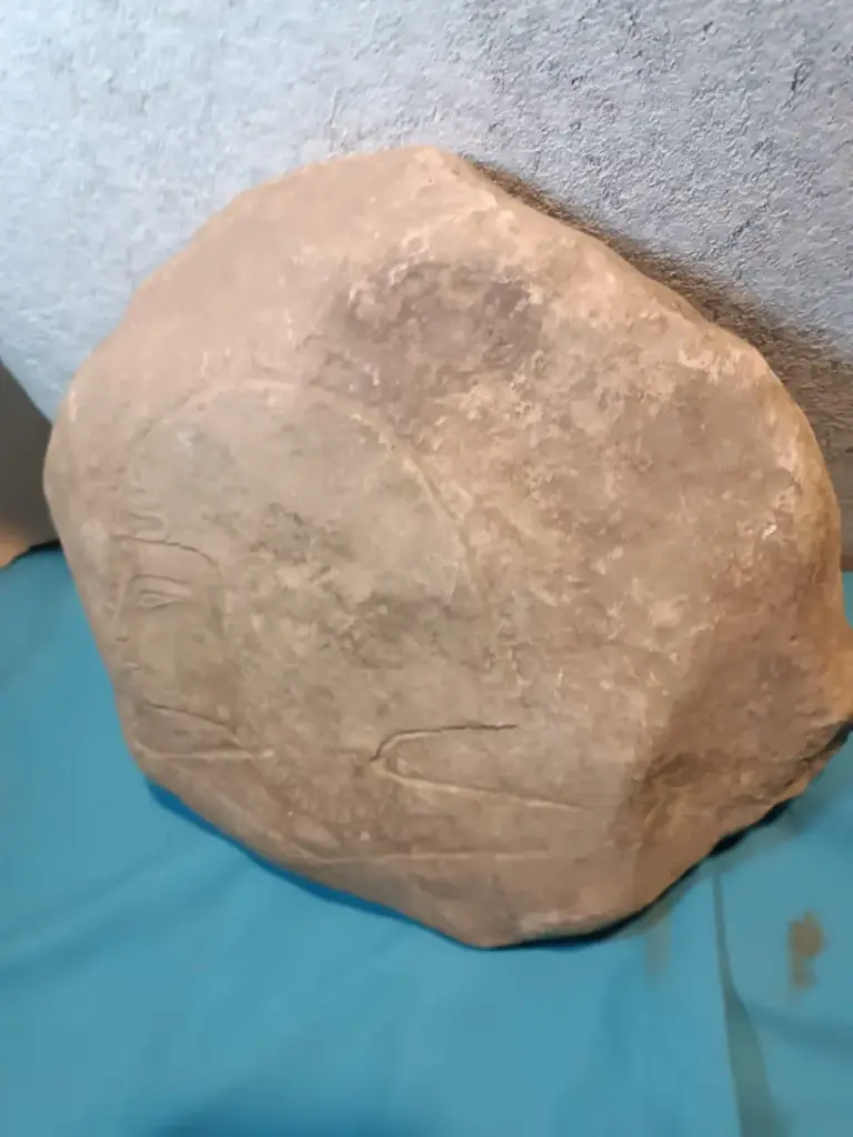 WhatsApp Image 2025-12-16 at 12.19.06 (1).webp