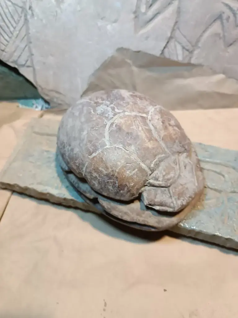 WhatsApp Image 2025-12-16 at 12.23.03.webp