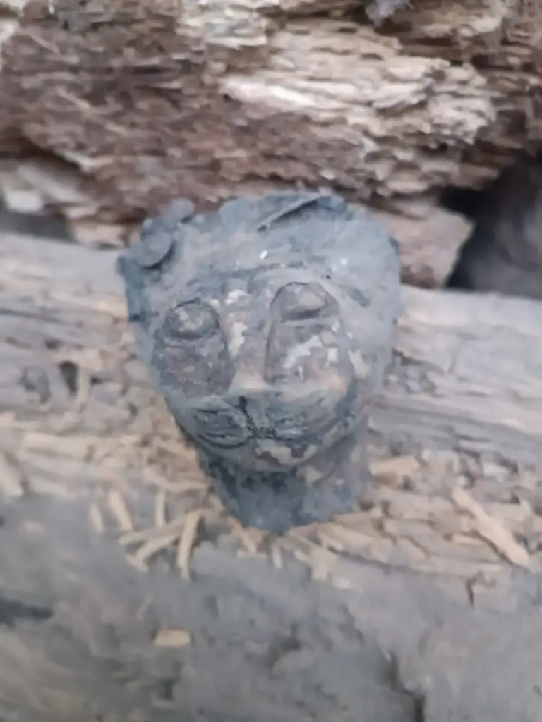 WhatsApp Image 2025-12-16 at 12.06.45 (2).webp