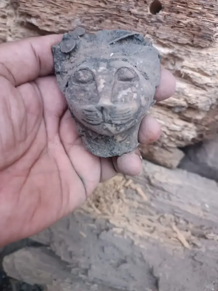 WhatsApp Image 2025-12-16 at 12.06.48 (1).webp