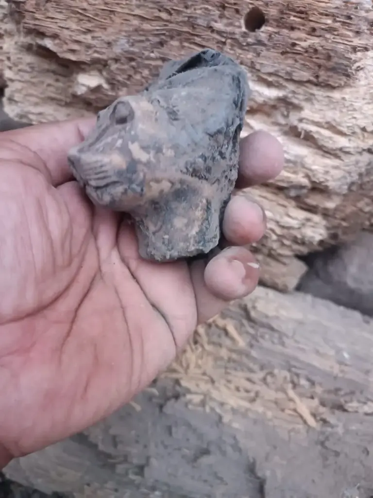 WhatsApp Image 2025-12-16 at 12.06.46.webp