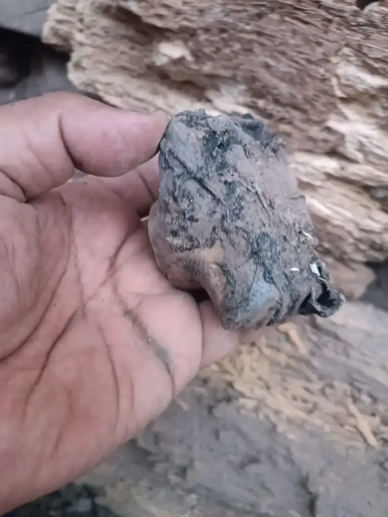 WhatsApp Image 2025-12-16 at 12.06.47 (1).webp