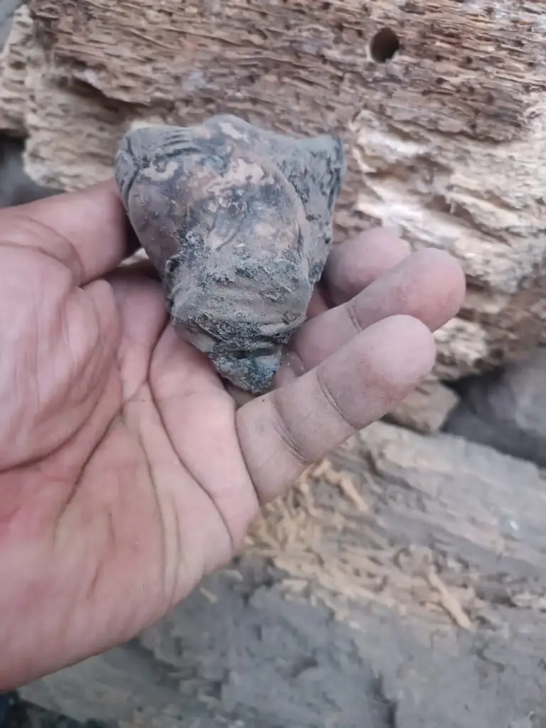 WhatsApp Image 2025-12-16 at 12.06.48.webp