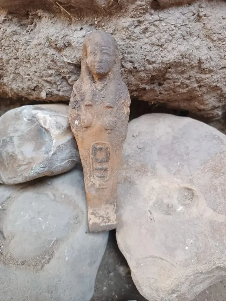 WhatsApp Image 2025-11-30 at 09.45.59.webp