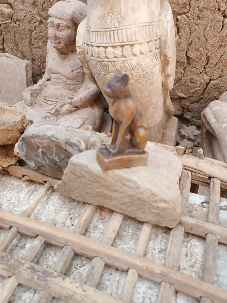 WhatsApp Image 2025-12-01 at 00.25.47.webp