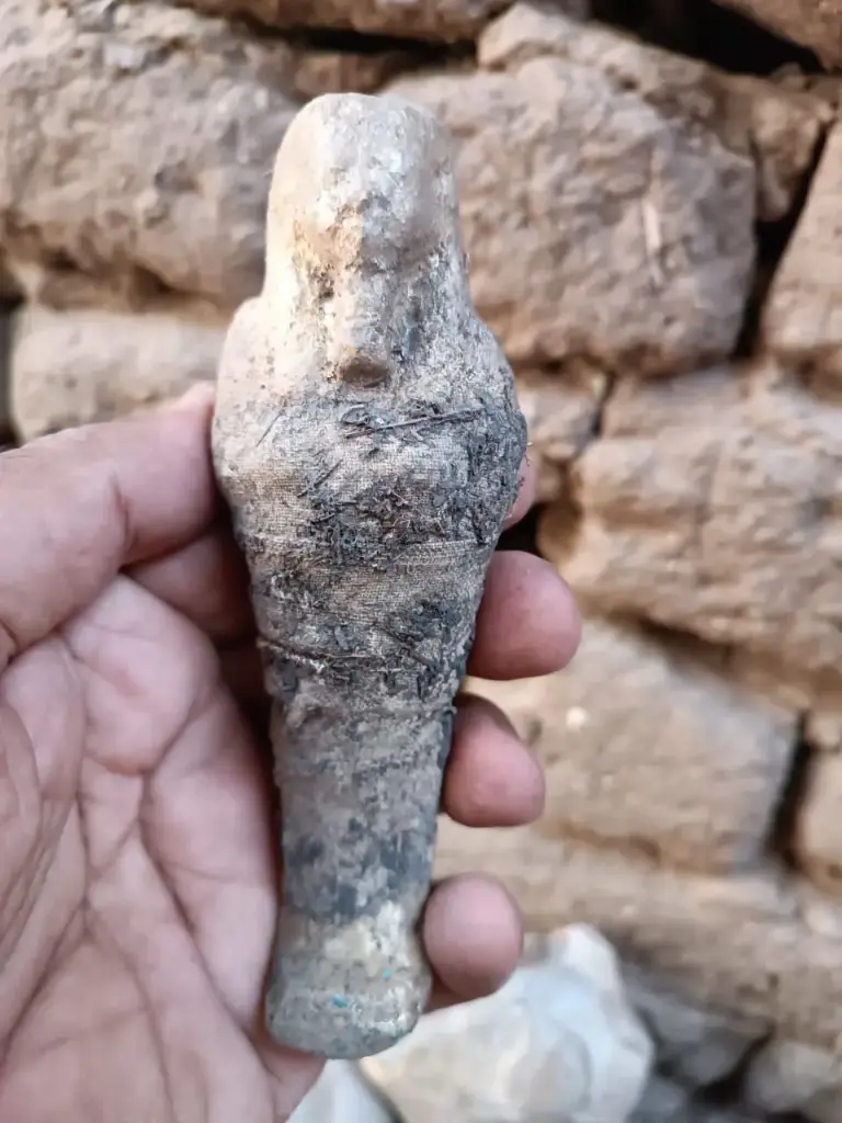 WhatsApp Image 2025-12-01 at 00.26.07.webp