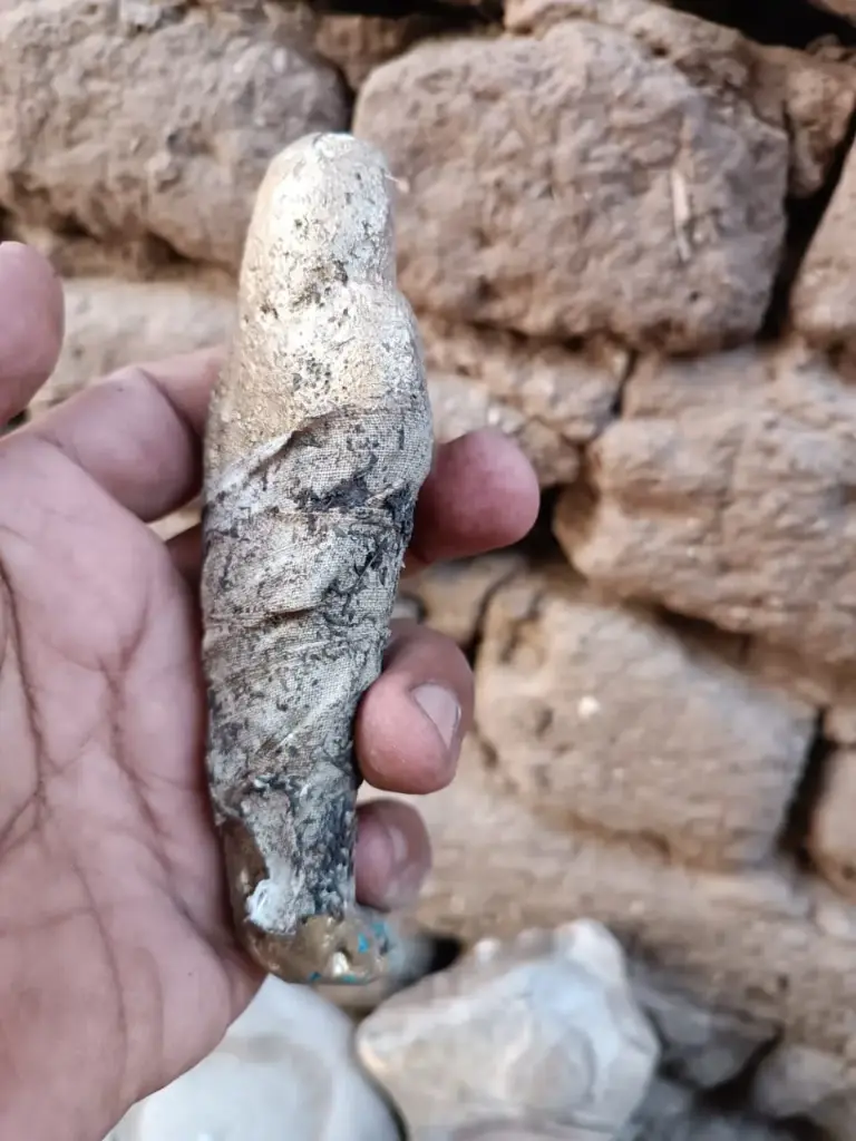 WhatsApp Image 2025-12-01 at 00.26.12 (1).webp