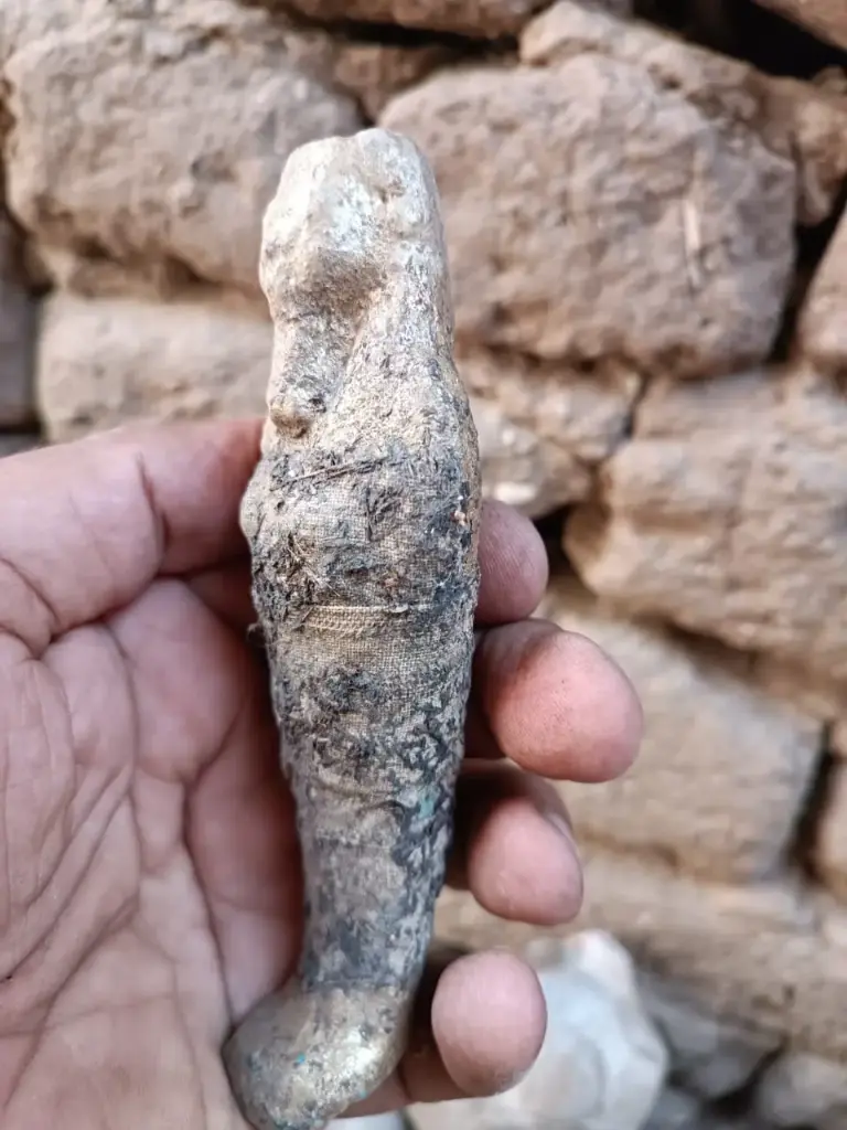 WhatsApp Image 2025-12-01 at 00.26.06.webp