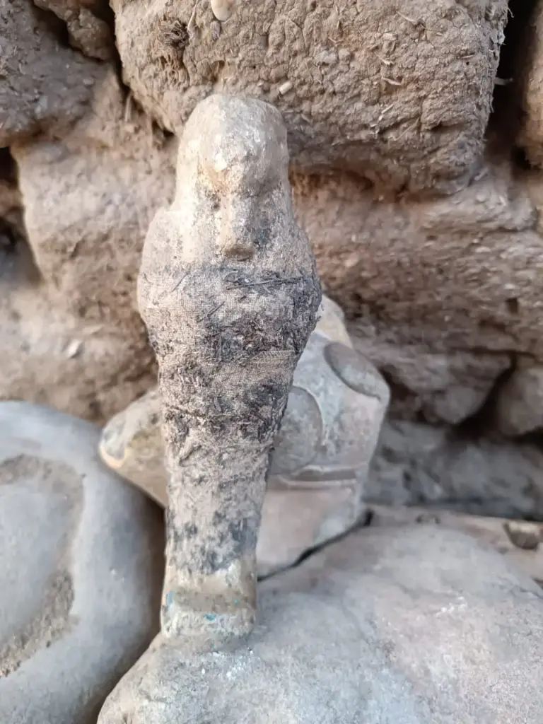 WhatsApp Image 2025-12-01 at 00.26.02.webp