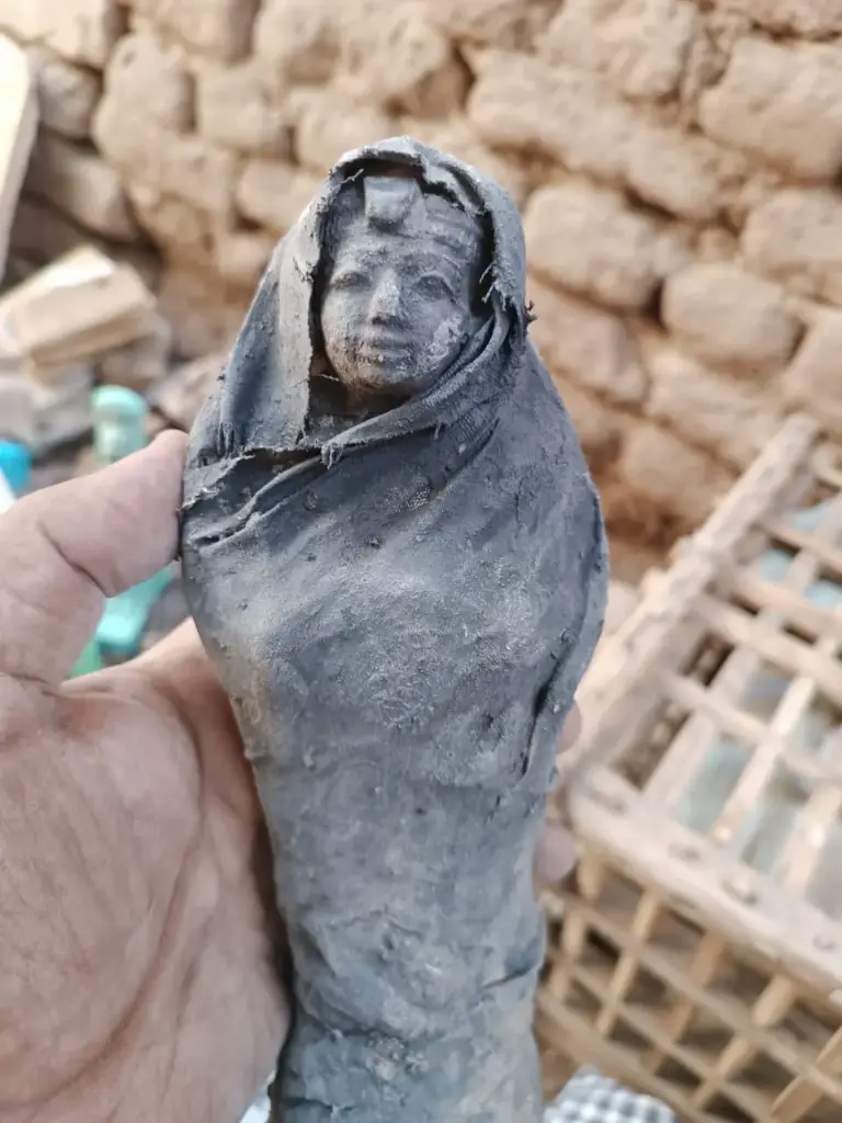 WhatsApp Image 2025-12-01 at 00.27.23.webp