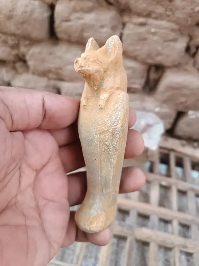 WhatsApp Image 2025-12-01 at 00.27.47.webp