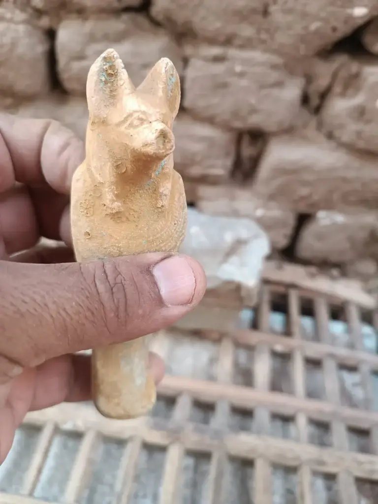 WhatsApp Image 2025-12-01 at 00.27.55.webp