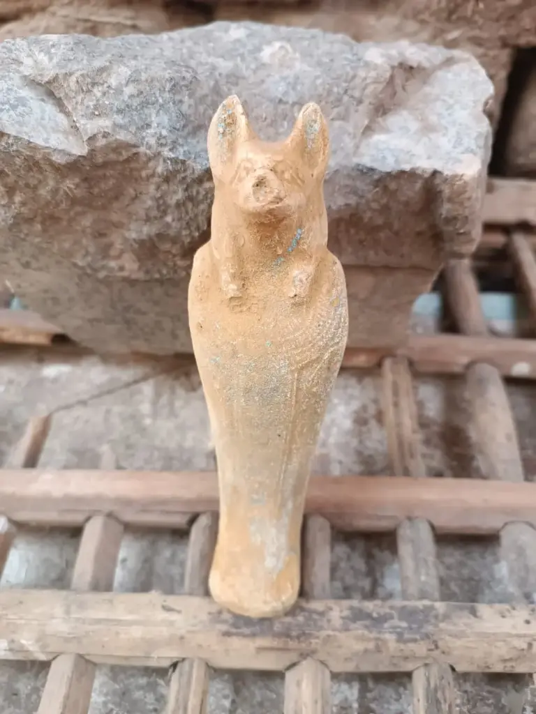 WhatsApp Image 2025-12-01 at 00.27.58 (1).webp