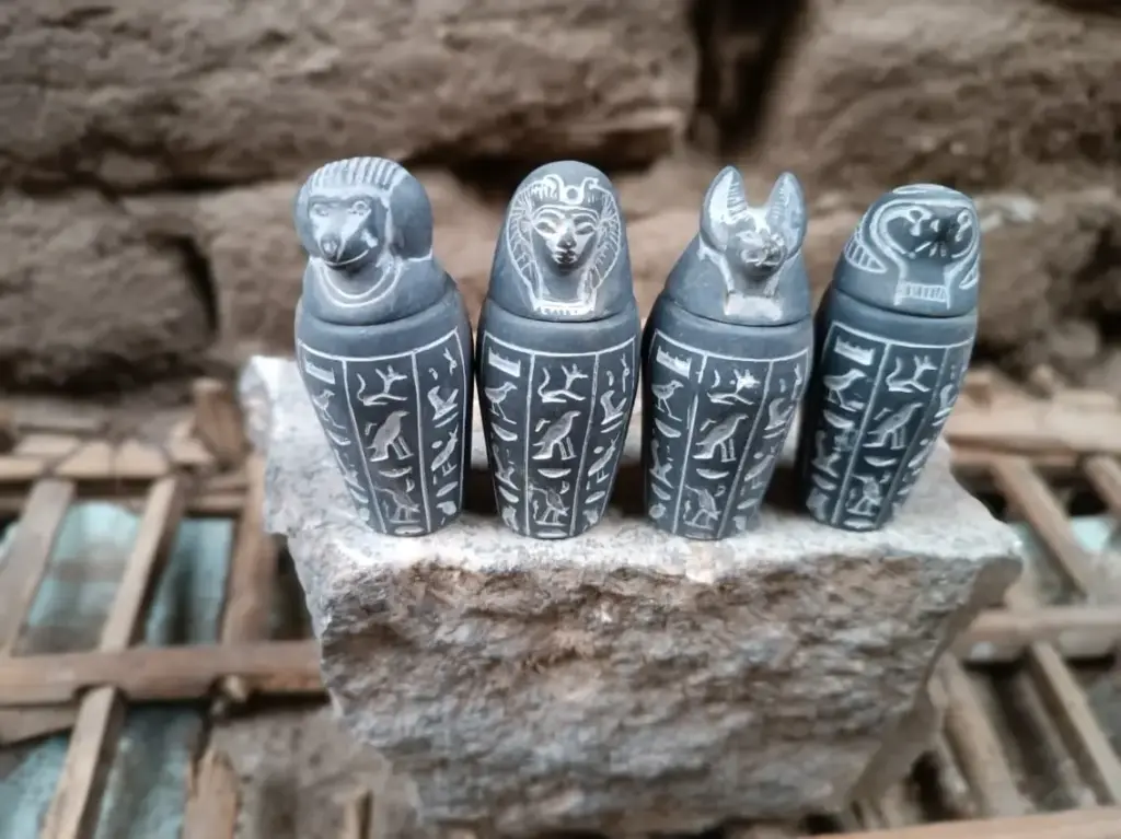 WhatsApp Image 2025-12-02 at 16.16.03.webp